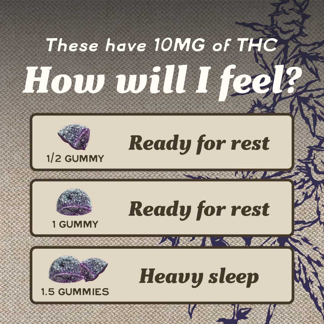 200mg THC Sleep Gummies - 12 Pack Case