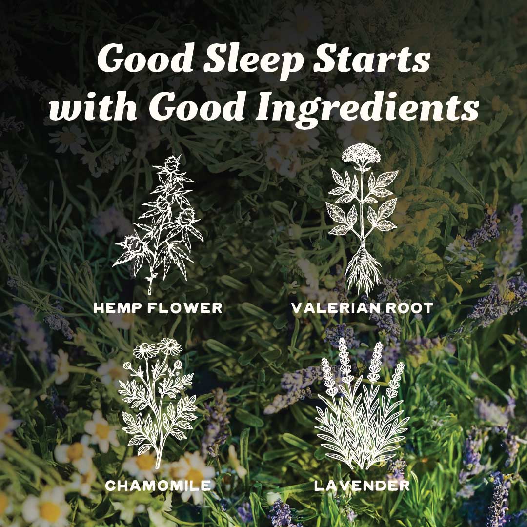 200mg THC Sleep Gummies - 12 Pack Case